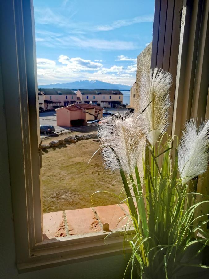 Appartement Tout Confort A Cap Coudalere Avec Vue Magnifique Sur Le Canigou Au Bord Du Lac - Check In Automatise - Parking Gratuit - Aire De Jeux D'Enfants - Le Barcarès Kültér fotó